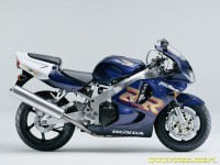sc33_blue1999.jpg