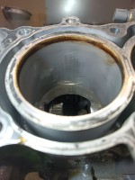 IMG_20250211_210822_012.jpg